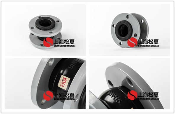 FKM-DN100-16kg耐腐蝕氟<a href='http://www.gzbenao.com' target='_blank'><u>橡膠接頭</u></a>